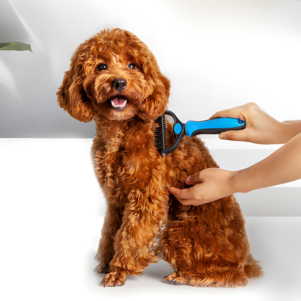GentleGroom │ 2 in 1 Pet Detangling and Massage Brush