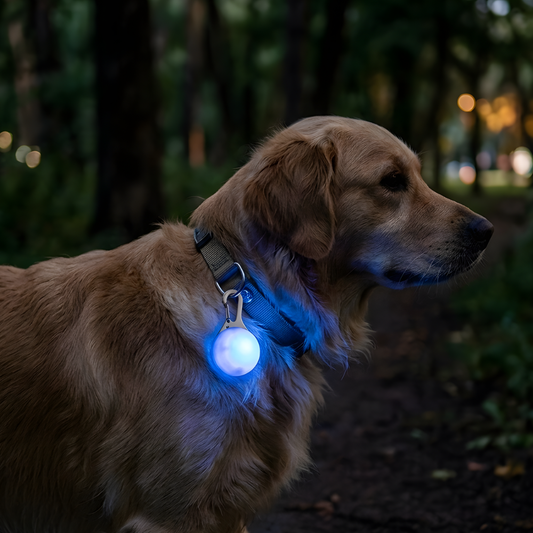 GlowGuard │ Light Up Dog Safety Collar