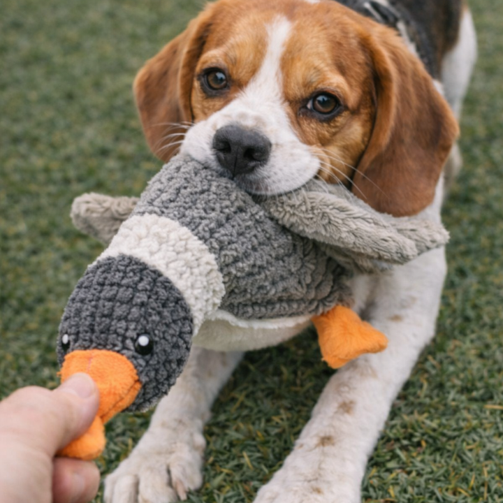 GooseGuard │ Indestructible Plush Goose Dog Toy