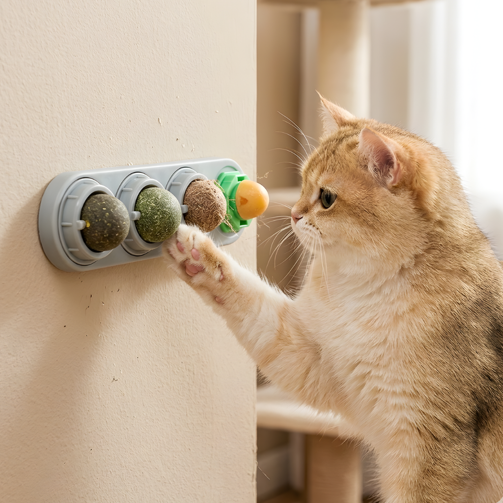 HerbOrbit │ Wall Mounted Cat Treat Toy