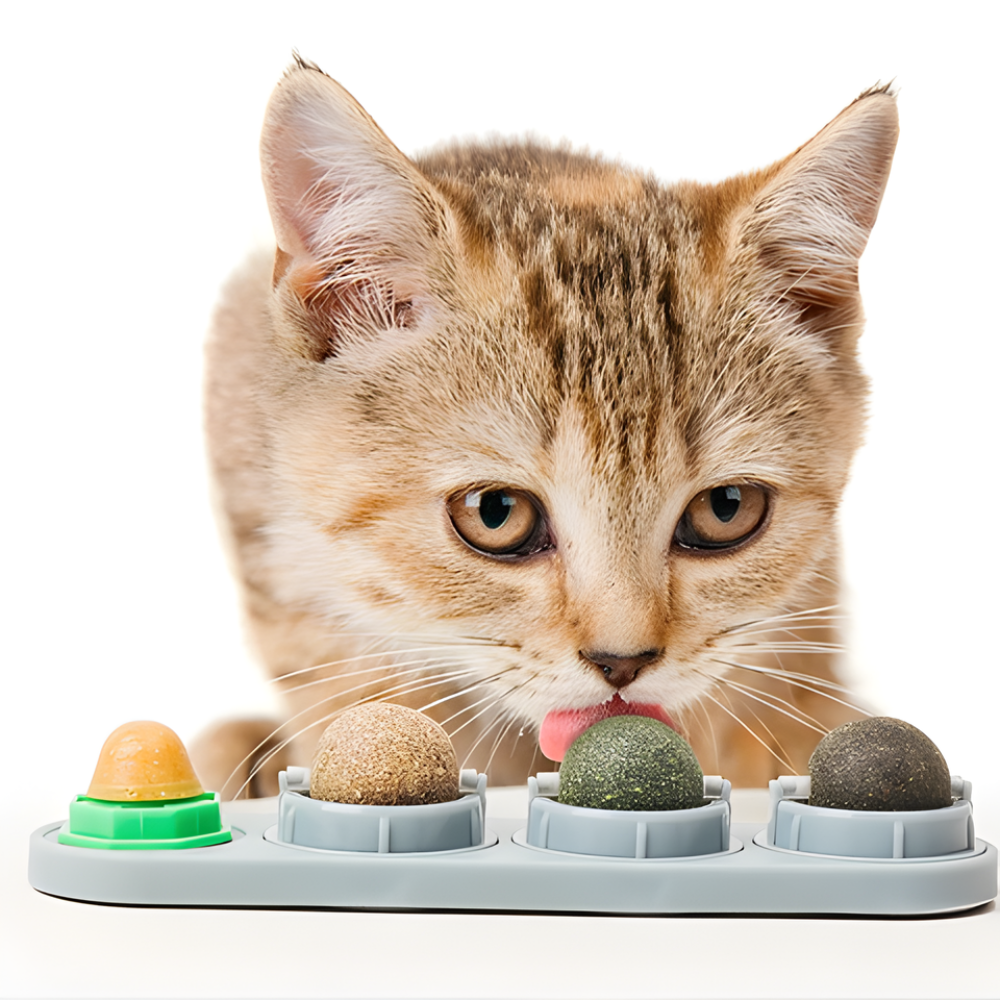 HerbOrbit │ Wall Mounted Cat Treat Toy