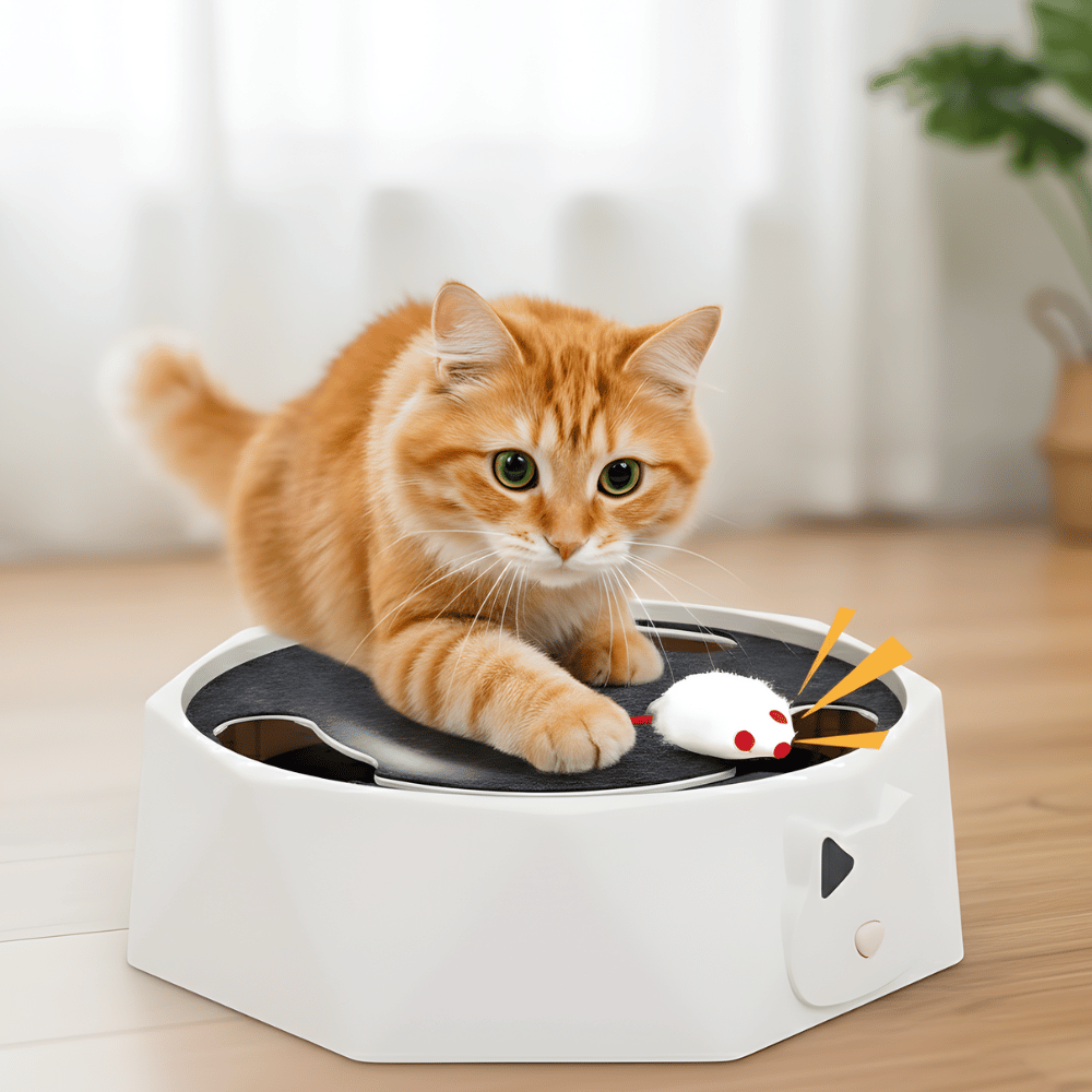 HuntNest │ Interactive Mouse Chase Toy for Cats