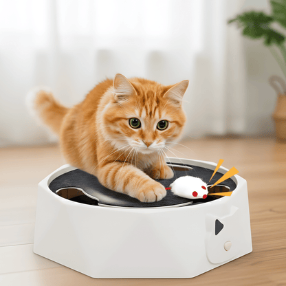 HuntNest │ Interactive Mouse Chase Toy for Cats