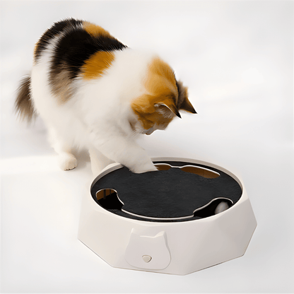 HuntNest │ Interactive Mouse Chase Toy for Cats