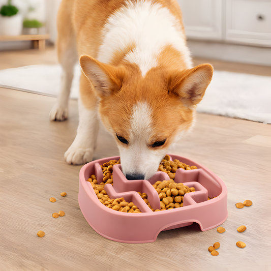 MazeMunch │ Slow Feed Dog Bowl