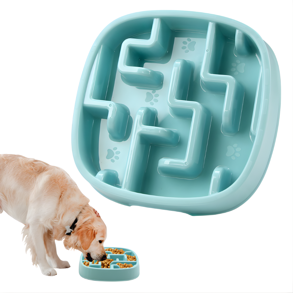MazeMunch │ Slow Feed Dog Bowl