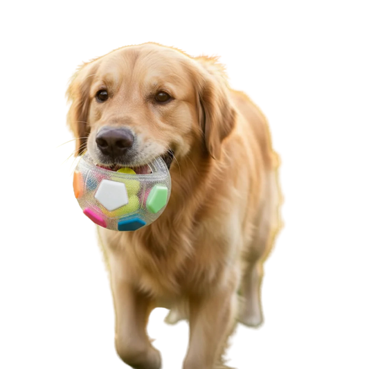 MellowSphere | Durable Dog Fetch Toy