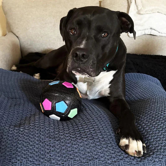 MellowSphere | durable dog ball with handle