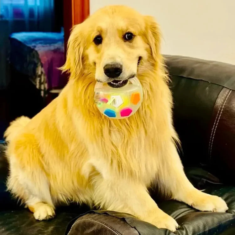 MellowSphere | durable dog ball with handle