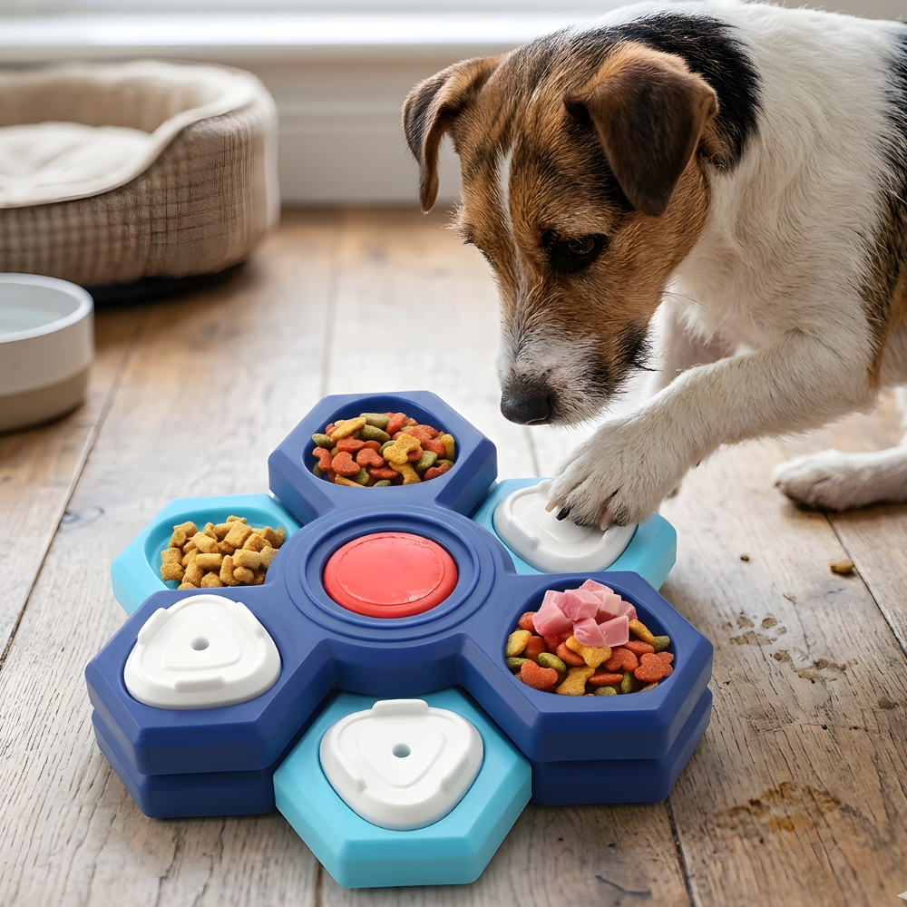 MindPaws │ Interactive Dog Puzzle Feeder