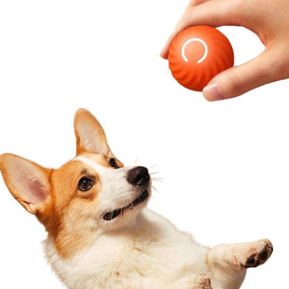 MotionPaws | Smart Interactive Rolling Dog Ball