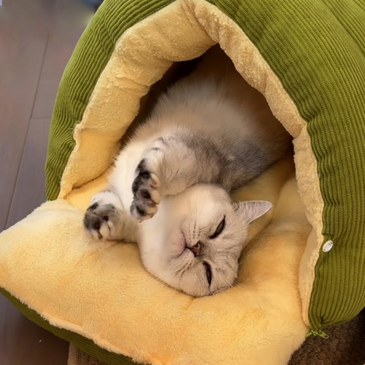 NestHaven │ Winter Closed Off Cat Bed