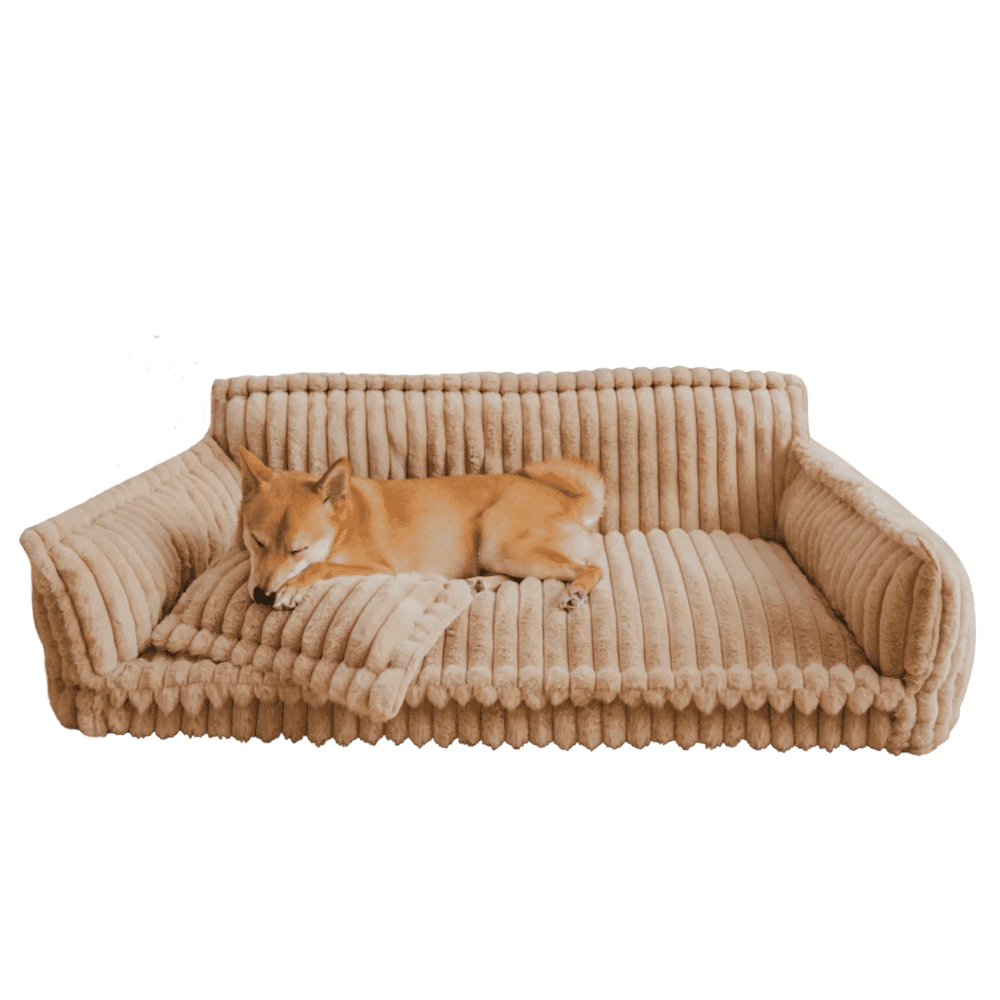 PawCloud | Dog Pillow Bed