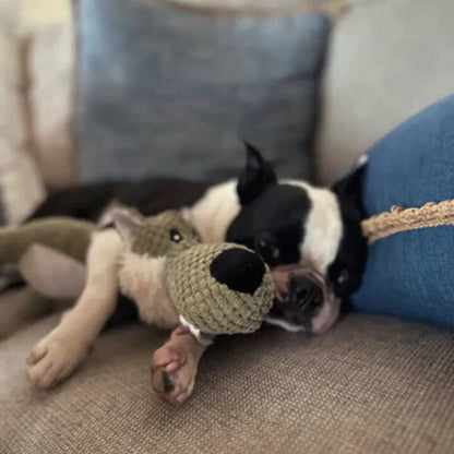 IndestructiPup | durable dog squeaker toy