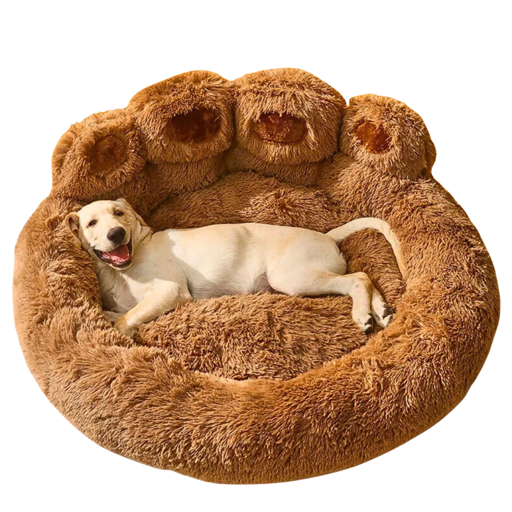 PawNest | Comfort Paw Bed