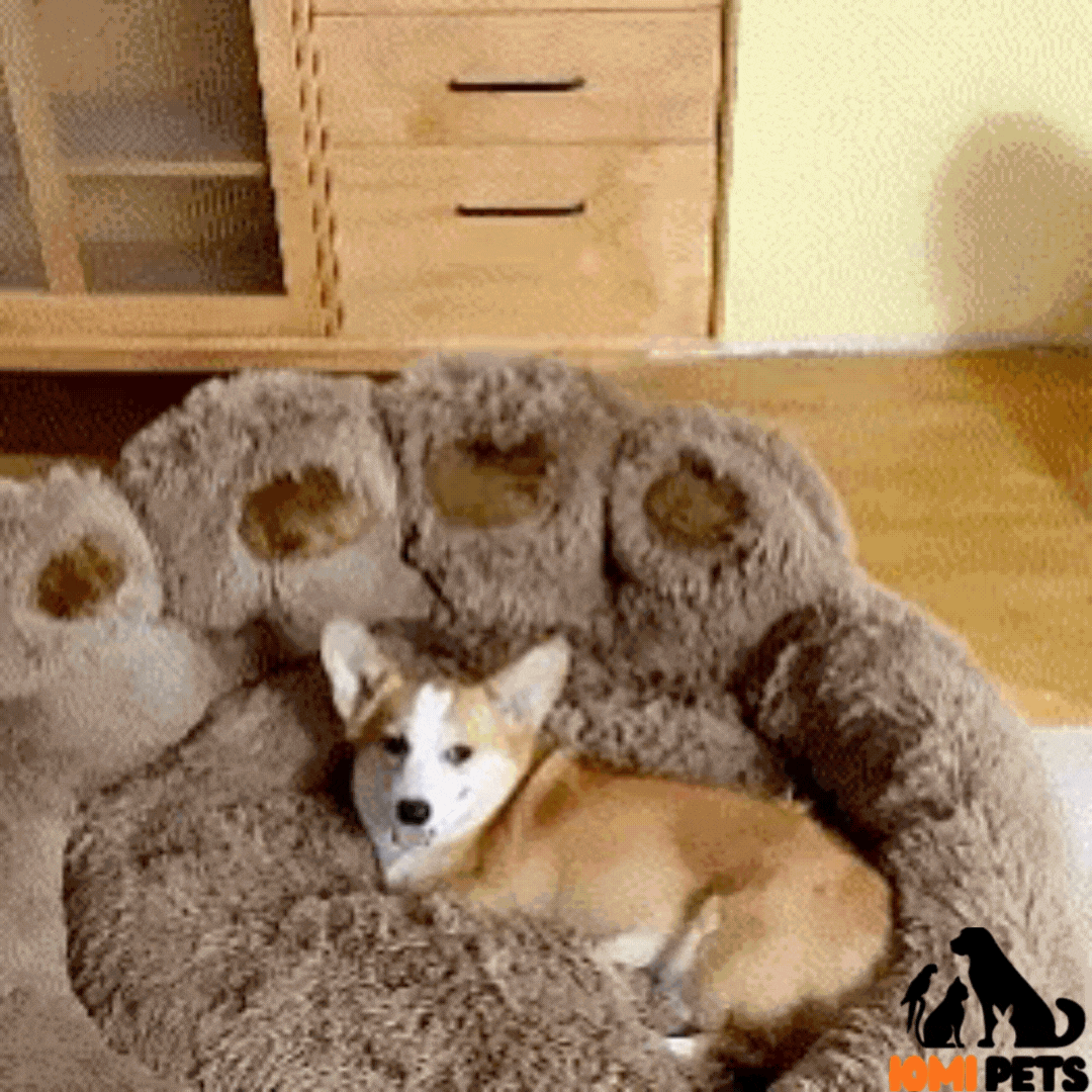 PawNest_Comfort_Paw_Bed