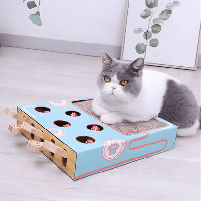 PawPuzzle │ Interactive 3 in 1 Cat Activity Playground