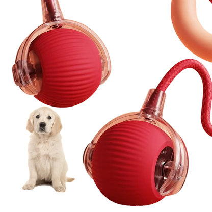 PawTail Interactive Dog Play Ball