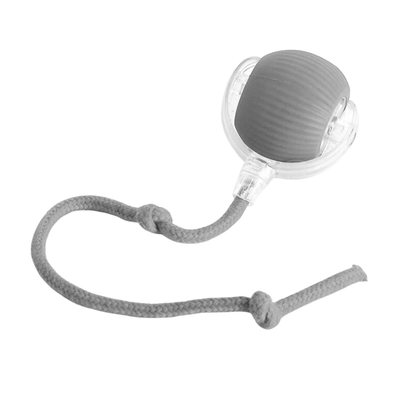 PawTail Interactive Dog Play Ball