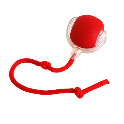 PawTail Interactive Dog Play Ball