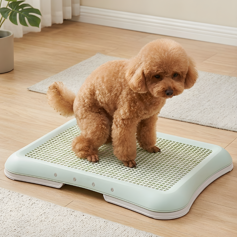 PeeGuard │ Dog Potty Tray