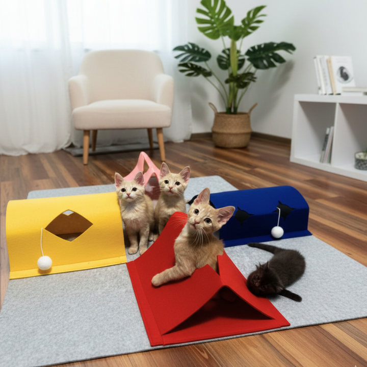 PlayFold │ Cat Play Mat