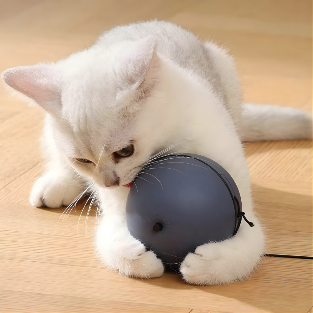 PounceOrbit │ Smart Rolling Cat Teaser Ball