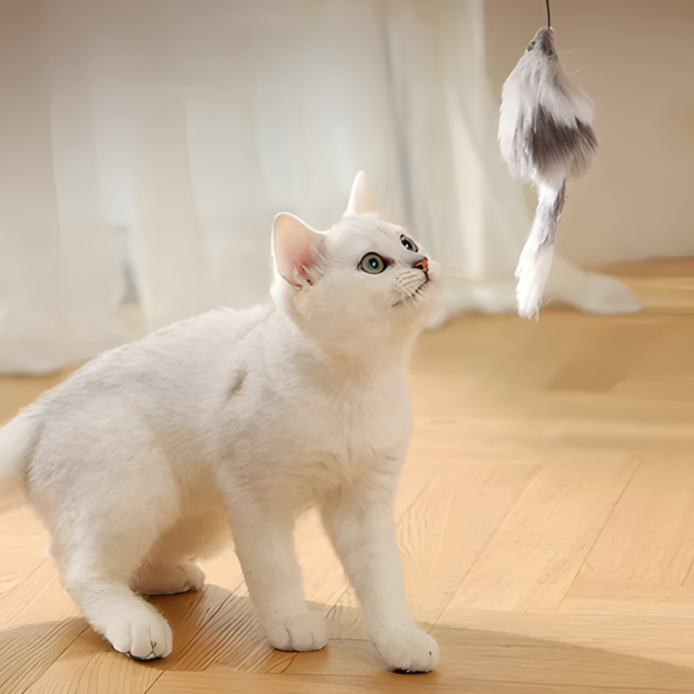 PounceOrbit │ Smart Rolling Cat Teaser Ball