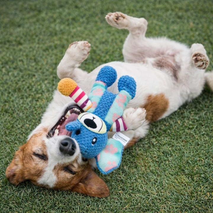 PlushForge │ Indestructible Squeaky Dog Toy