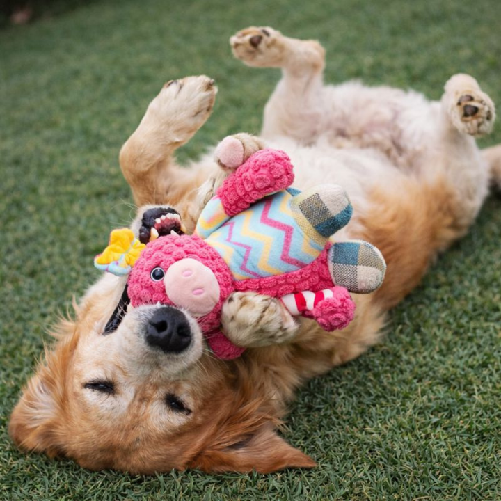 PlushForge │ Indestructible Squeaky Dog Toy