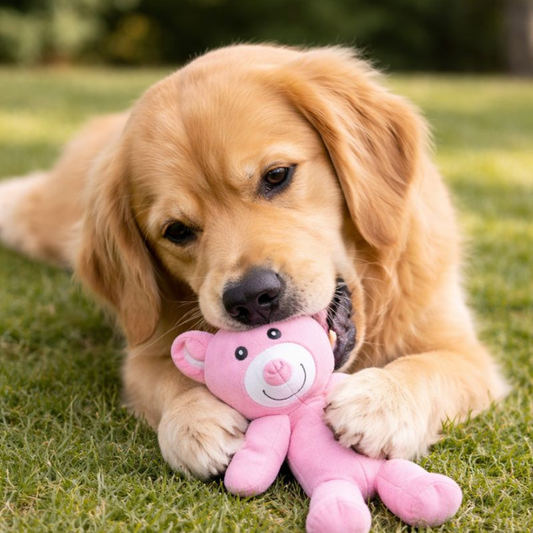 BearArmor │ Indestructible Plush Bear Dog Toy