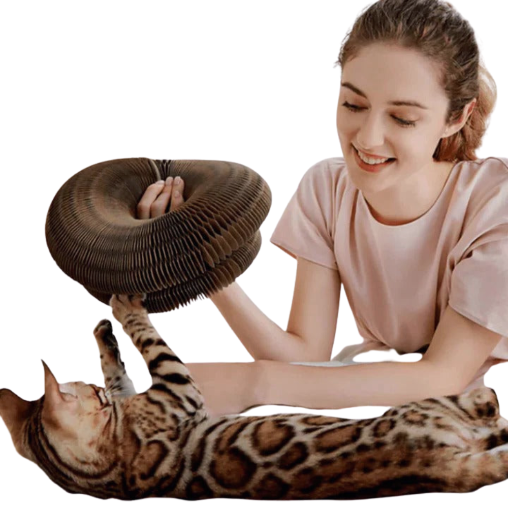 PurrPlay | Foldable Cat Scratcher Toy