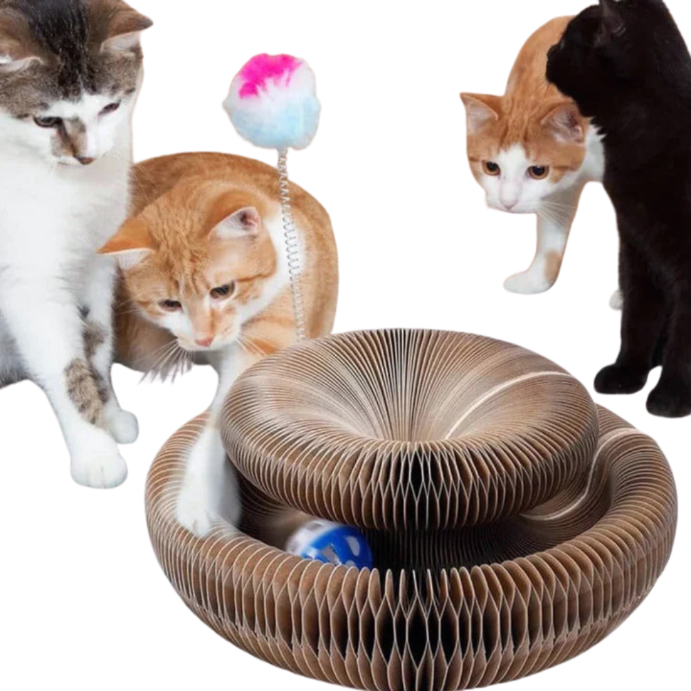 PurrPlay | Foldable Cat Scratcher Toy
