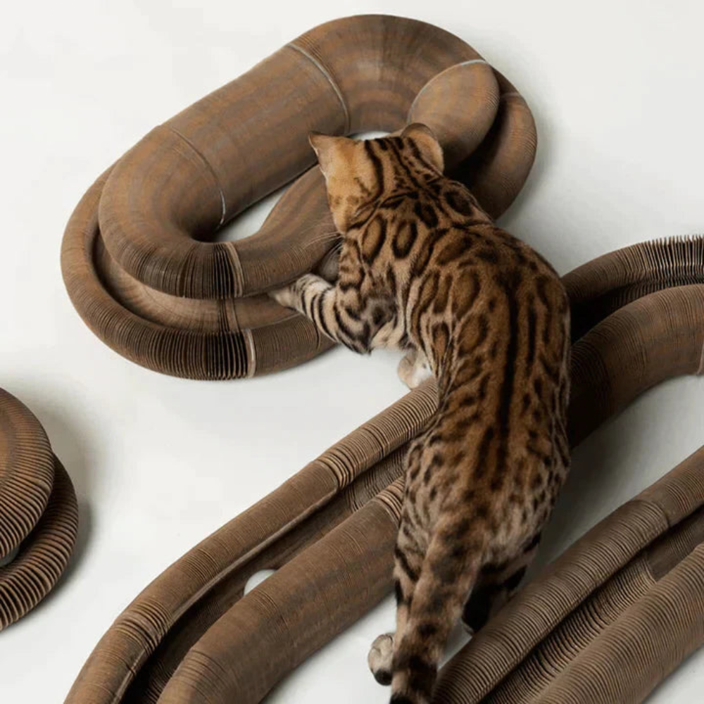 PurrPlay | Foldable Cat Scratcher Toy