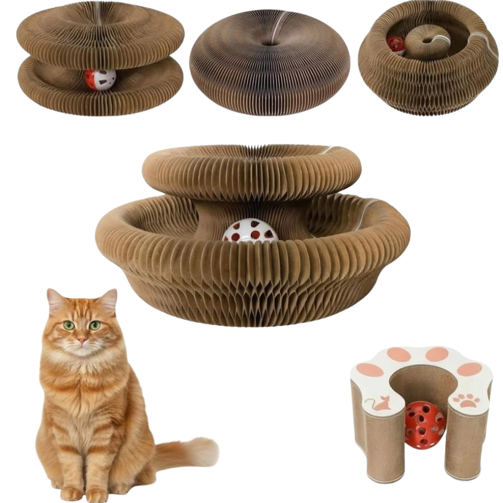PurrPlay | Foldable Cat Scratcher Toy