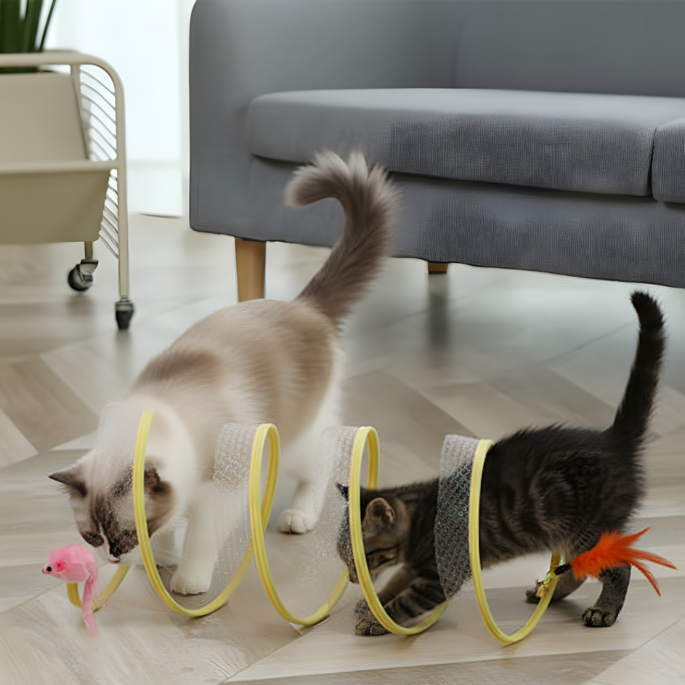 PurrSpiral │ Interactive Spring Tunnel Toy for Curious Cats
