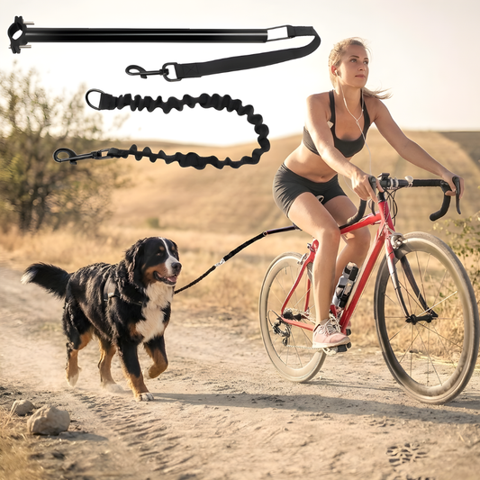 RideMate │ Bicycle Dog Leash Attachment