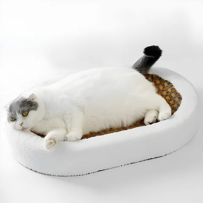 ScratchNest | Cat Scratch Bed
