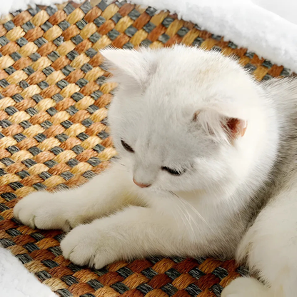 ScratchNest | Cat Scratch Bed