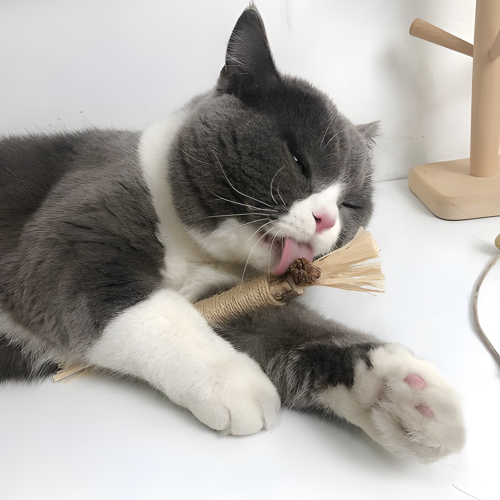 SilverSmile │ Natural Silvervine Dental Chew Sticks for Cats