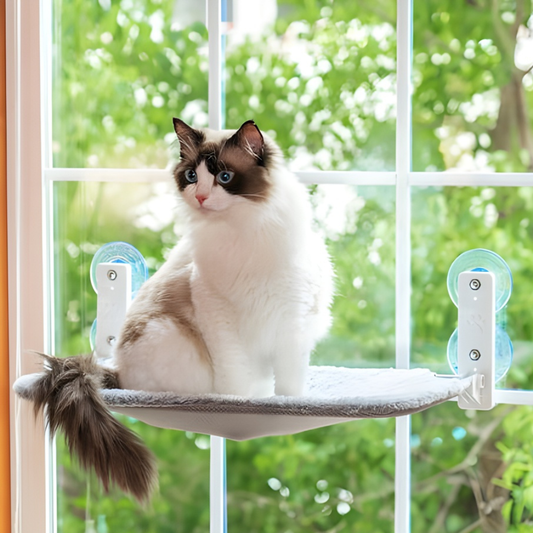 SkyLedge │ Window Mounted Cat Hammock