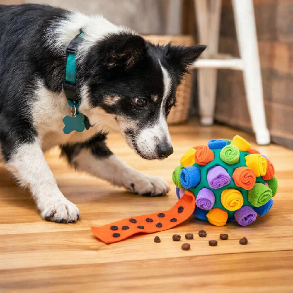 Sniffora | Snuffle Treat Hiding Enrichment Dog Ball