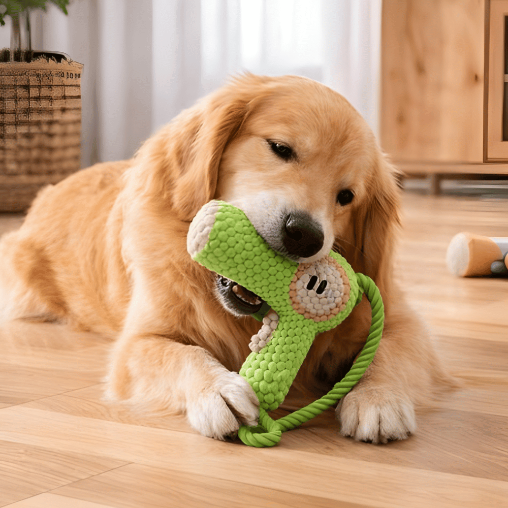 SnuggleChew │ Soft Squeaky Dental Comfort Dog Toy