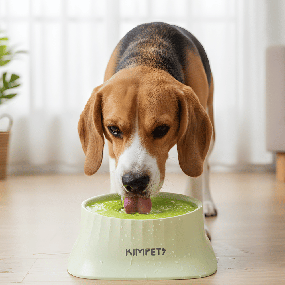 SplashGuard │ Spillproof Floating Dog Water Dispenser