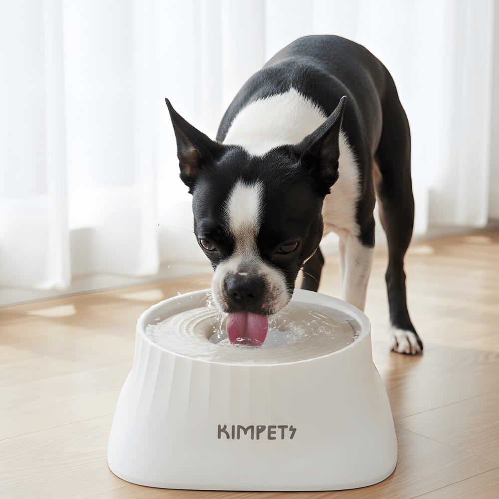 SplashGuard │ Spillproof Floating Dog Water Dispenser