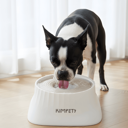 SplashGuard │ Dog Water Dispenser