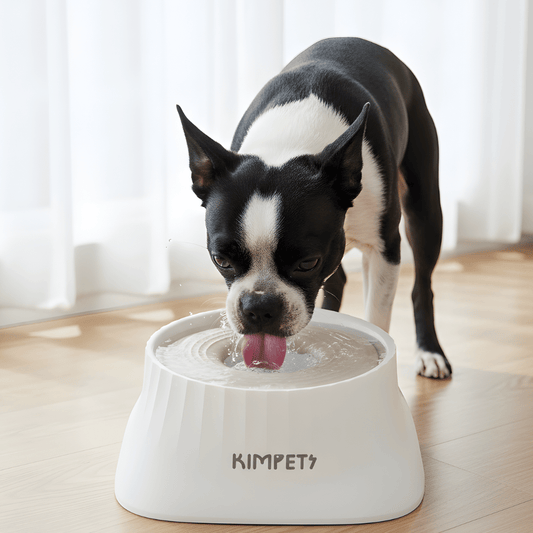 SplashGuard │ Spillproof Floating Dog Water Dispenser