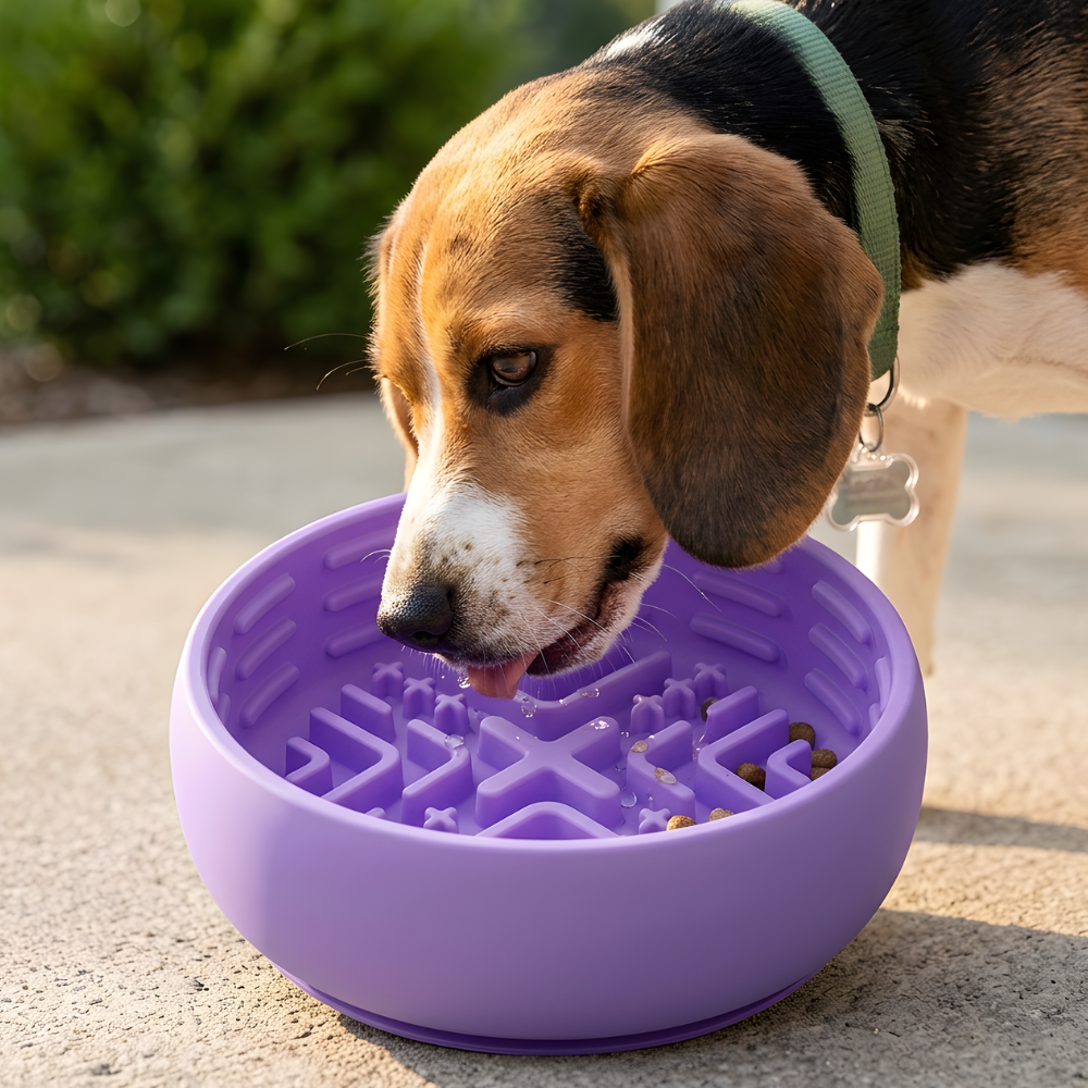 SteadyBite │ Silicone Slow Feed Dog Bowl
