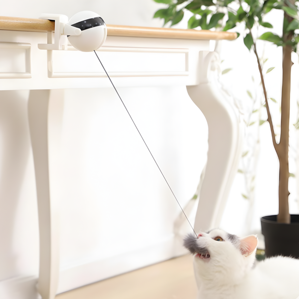 SwingPulse │ Motion Activated Hanging Cat Toy