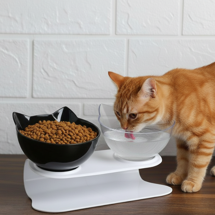 TiltFeed │ Raised Cat Feeding Bowl